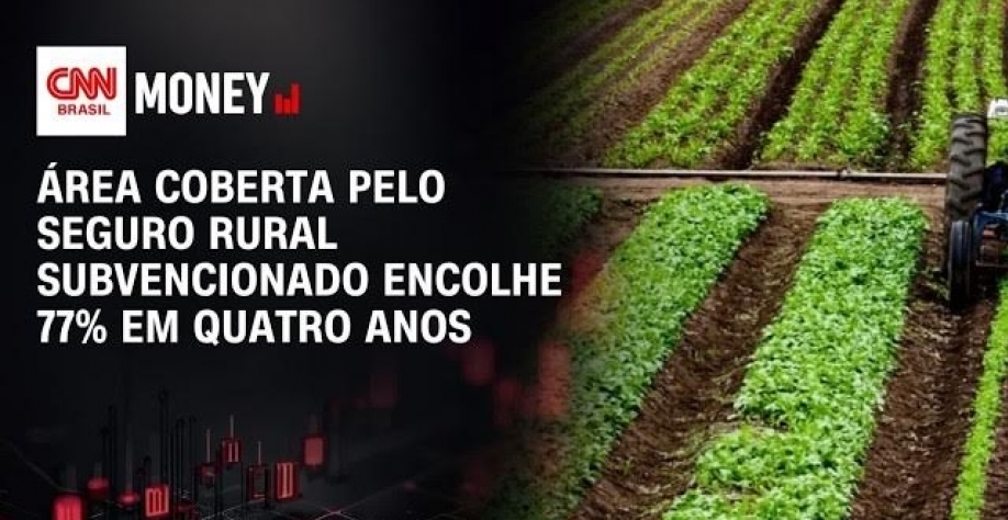 Área coberta pelo seguro rural subvencionado encolhe 77% em quatro anos