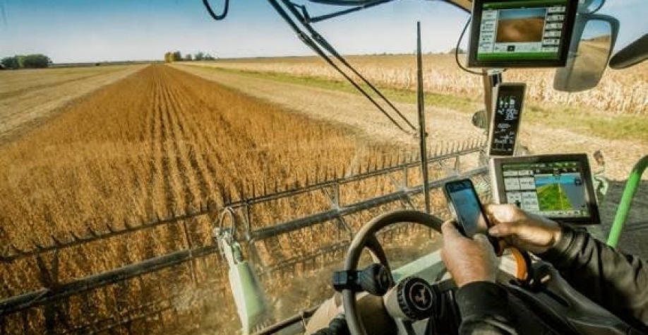 Agropecuária gera 22,9 mil empregos formais em junho