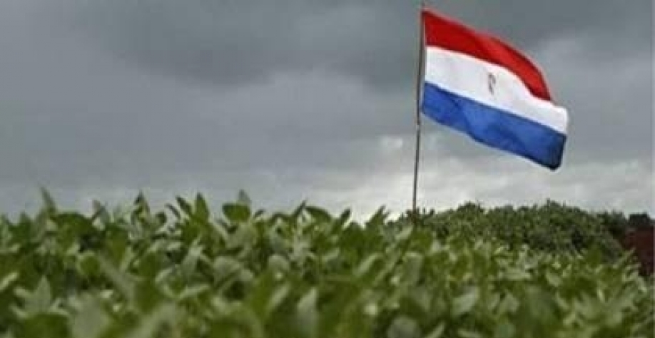 Soja do Paraguai caminha para safra recorde,enquanto clima pressiona milho