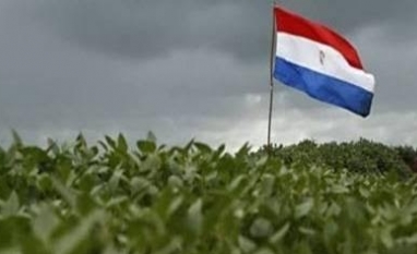 Soja do Paraguai caminha para safra recorde,enquanto clima pressiona milho