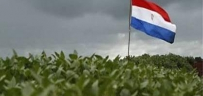 Soja do Paraguai caminha para safra recorde,enquanto clima pressiona milho