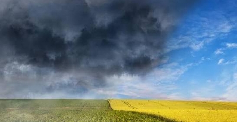 Produtividade mundial não tem grande variação em anos de El Niño