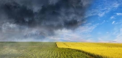 Produtividade mundial não tem grande variação em anos de El Niño