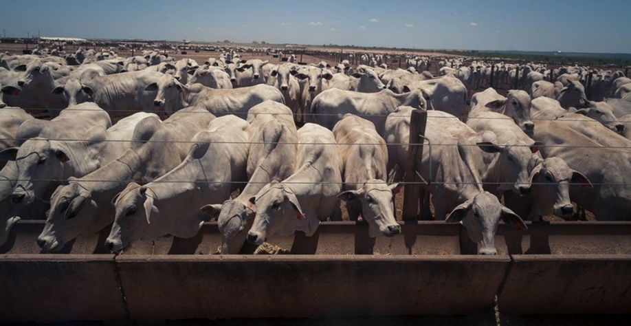 Governo chama de 'inaceitável' exigência da UE sobre antimicrobianos