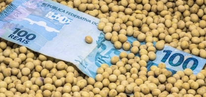 Governo demora a liberar recursos com juros mais baixos para plantio