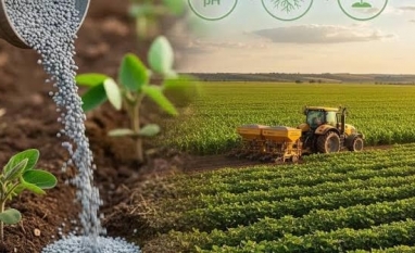 Fertilizantes fosfatados: Impactos das tensões no Oriente Médio