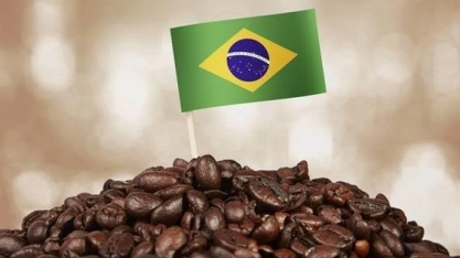Café: Produtor: Continue aproveitando essas altas e proteja-se 