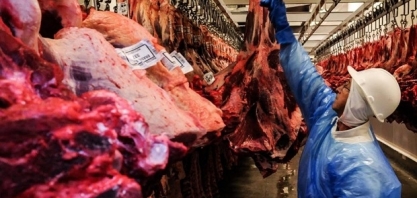 Brasil atinge 80% da cota de carne bovina para a China
