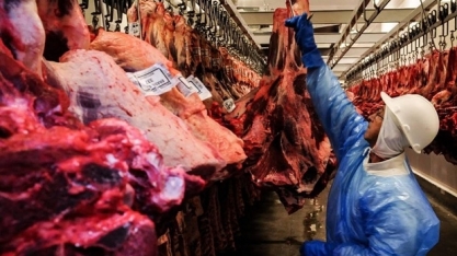 Brasil atinge 80% da cota de carne bovina para a China