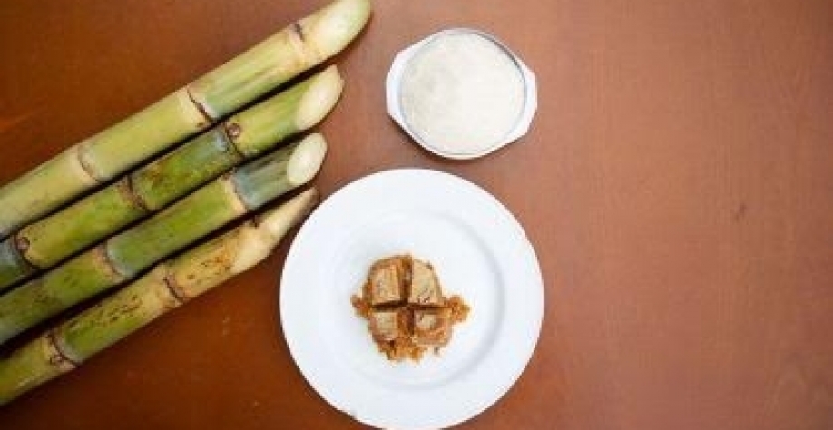 Açúcar orgânico brasileiro é afetado por nova tarifa nos EUA