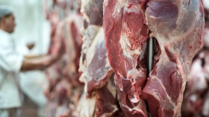 Governo muda controles de exportação de carnes para evitar veto da UE 