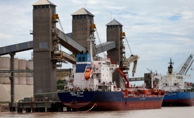 Agronegócio brasileiro perde espaço nas exportações aos EUA com tarifas