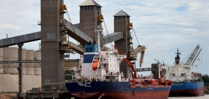 Agronegócio brasileiro perde espaço nas exportações aos EUA com tarifas