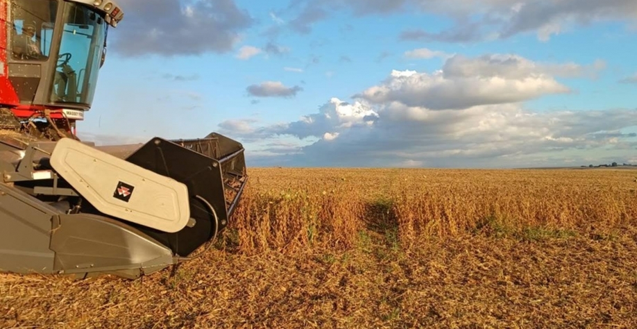 Produção de grãos no Brasil é estimada em 360,1 milhões de toneladas