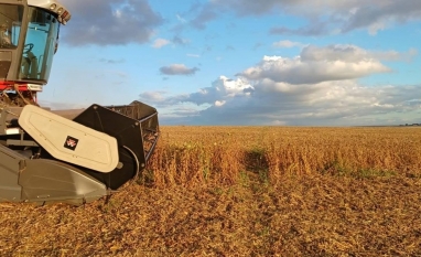 Produção de grãos no Brasil é estimada em 360,1 milhões de toneladas