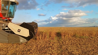 Produção de grãos no Brasil é estimada em 360,1 milhões de toneladas