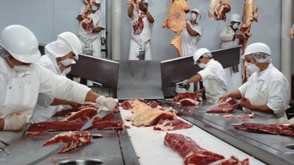 Com fim da cota chinesa,frigoríficos dão férias coletivas e reduzem abates