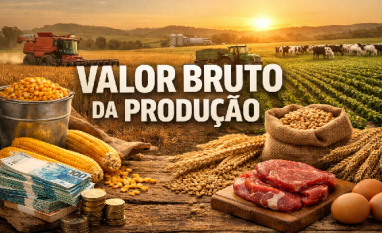 Produção é recorde, mas queda de preço reduz receita no agro