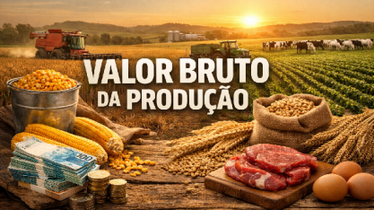 Produção é recorde, mas queda de preço reduz receita no agro