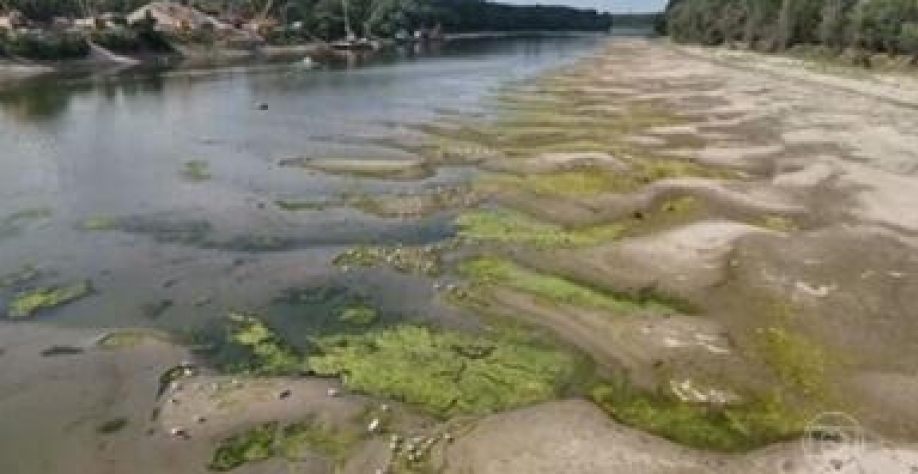 Na intensa seca da Europa, a agricultura regenerativa sobressai