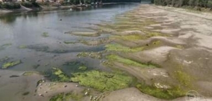 Na intensa seca da Europa, a agricultura regenerativa sobressai