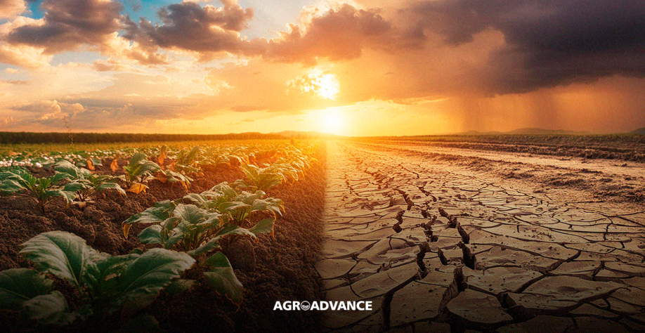 Não fossem mudanças climáticas, renda do agro seria R$ 200 bi maior