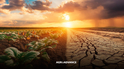 Não fossem mudanças climáticas, renda do agro seria R$ 200 bi maior