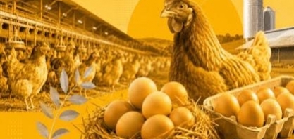 ABPA prevê avanço da produção e exportações de proteínas