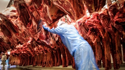 Frigoríficos encerram cota e deixam de exportar carne para China