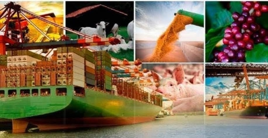 Agronegócio mantém ritmo recorde de exportações no 1º semestre