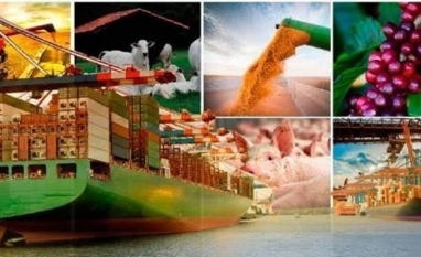 Agronegócio mantém ritmo recorde de exportações no 1º semestre