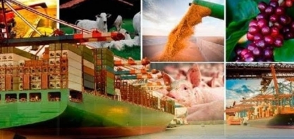 Agronegócio mantém ritmo recorde de exportações no 1º semestre