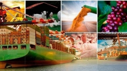 Agronegócio mantém ritmo recorde de exportações no 1º semestre