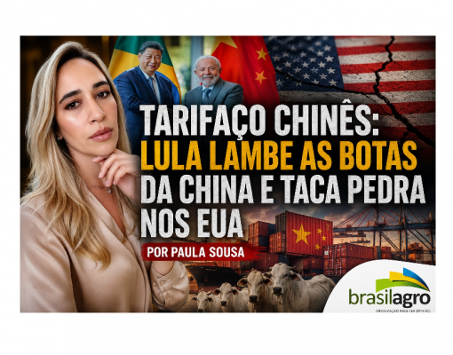 Tarifaço Chinês: Lula lambe as botas da China e taca pedra nos EUA