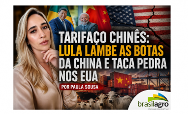 Tarifaço Chinês: Lula lambe as botas da China e taca pedra nos EUA