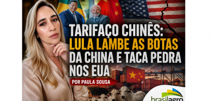 Tarifaço Chinês: Lula lambe as botas da China e taca pedra nos EUA