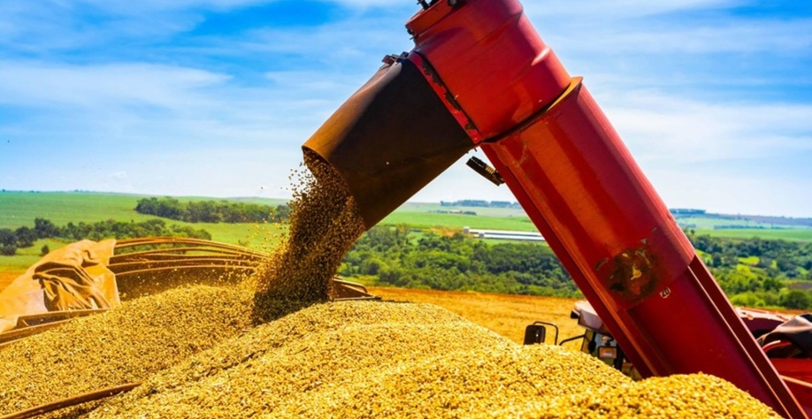 O mercado mudou, e Brasil precisa buscar mais valor para a soja