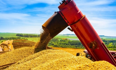 O mercado mudou, e Brasil precisa buscar mais valor para a soja