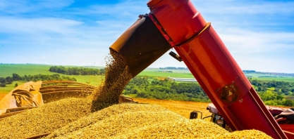 O mercado mudou, e Brasil precisa buscar mais valor para a soja