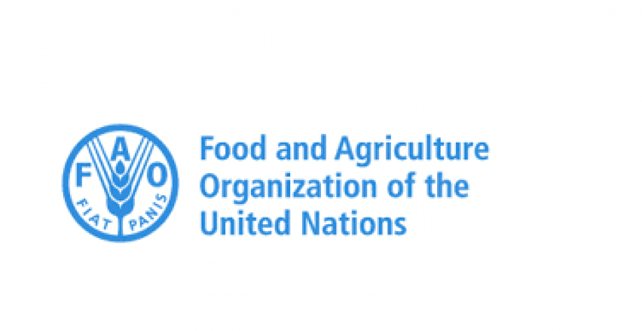 Preços globais dos alimentos chegam ao maior nível em três anos, diz FAO