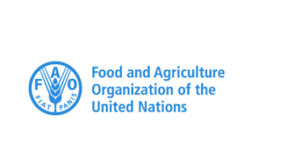 Preços globais dos alimentos chegam ao maior nível em três anos, diz FAO