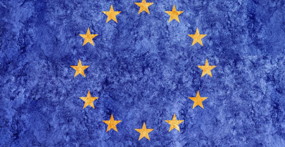 Produção especializada de gado para a UE surge como alternativa