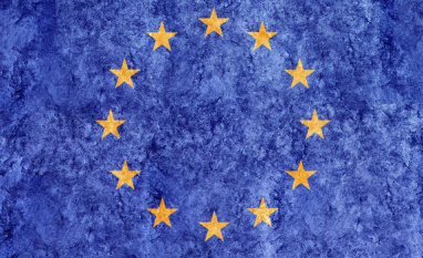 Produção especializada de gado para a UE surge como alternativa