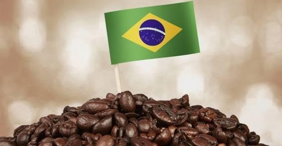 Café: A colheita não acabou e já estamos de olho na safra 27/28