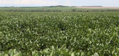 O agro e o choque de custos – Por Celso Ming