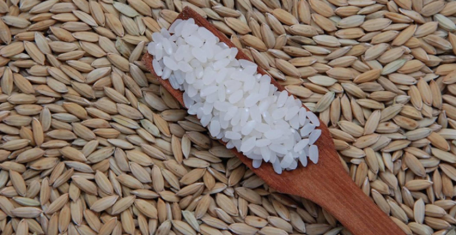 Preço do arroz no RS sobe para o maior patamar em 14 meses