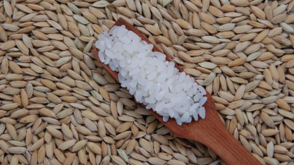 Preço do arroz no RS sobe para o maior patamar em 14 meses