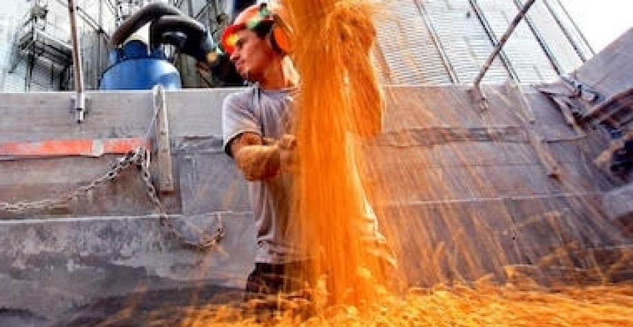 Agro: O Brasil tem instrumentos; não tem estratégia!
