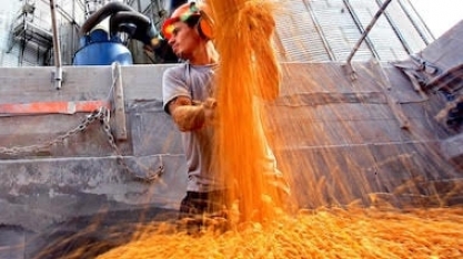 Agro: O Brasil tem instrumentos; não tem estratégia!