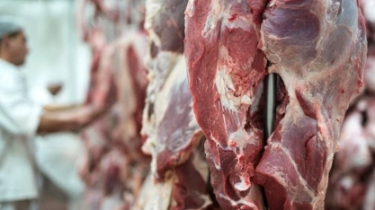 Com cota chinesa preenchida, exportação de carne bovina recua
